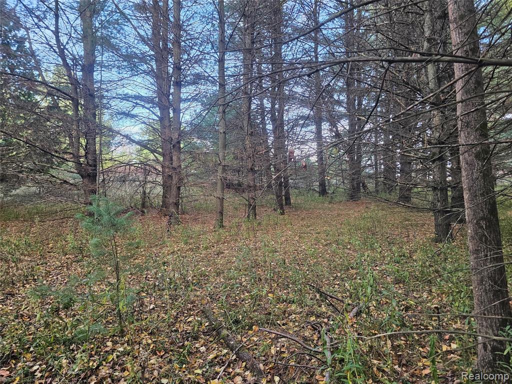 4901 M-55, Tawas City, MI 48763 — Photo 22