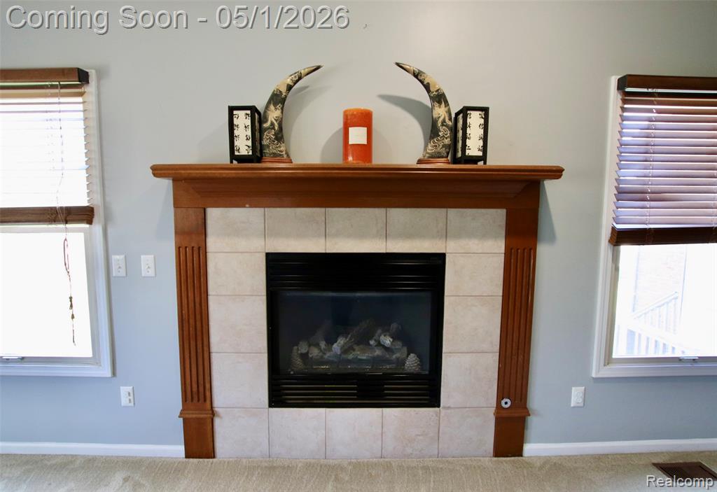 2757 N Tipsico Lake Road, Hartland, MI 48353 — Photo 21