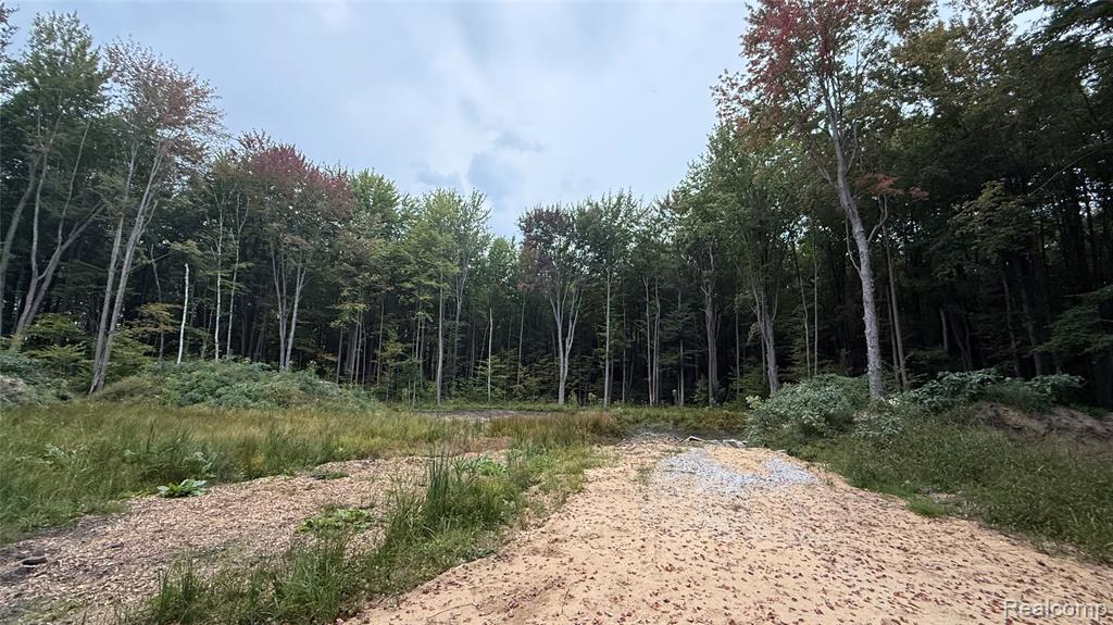 4528 N River Road, Clyde, MI 48049 — Photo 5