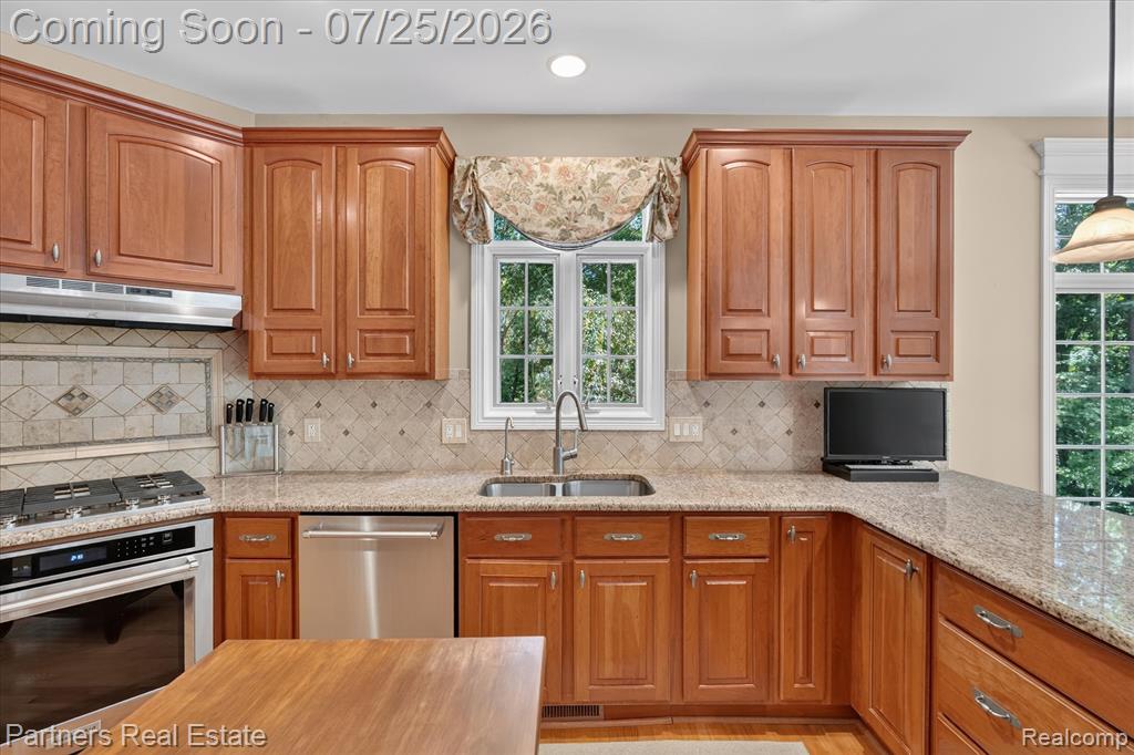 5935 Winans View Court, Pinckney, MI 48169 — Photo 23