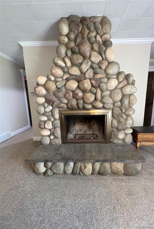 3355 E Braden Road, Perry, MI 48872 — Photo 12