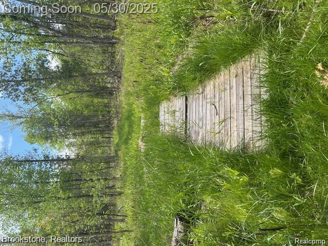 4148 Blue Vista Drive, Evart, MI 49631 — Photo 13