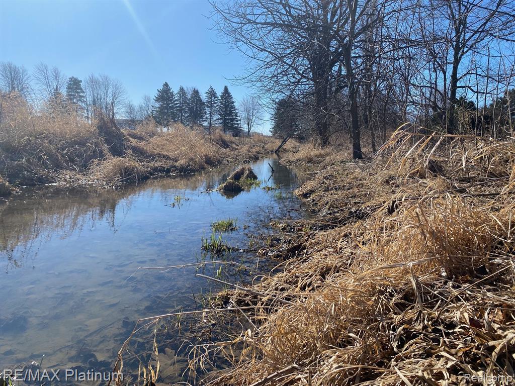 17801 CORUNNA Road, Chesaning, MI 48616 — Photo 8