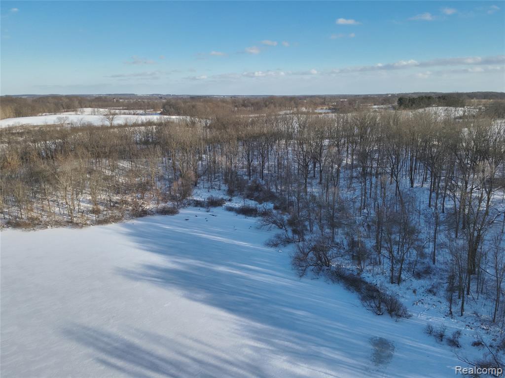 v/l W Us-12 Highway, Manchester, MI 48158 — Photo 18