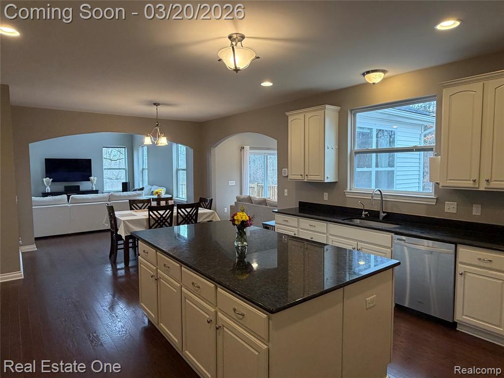 58206 Sunflower Circle N, New Hudson, MI 48165 — Photo 11
