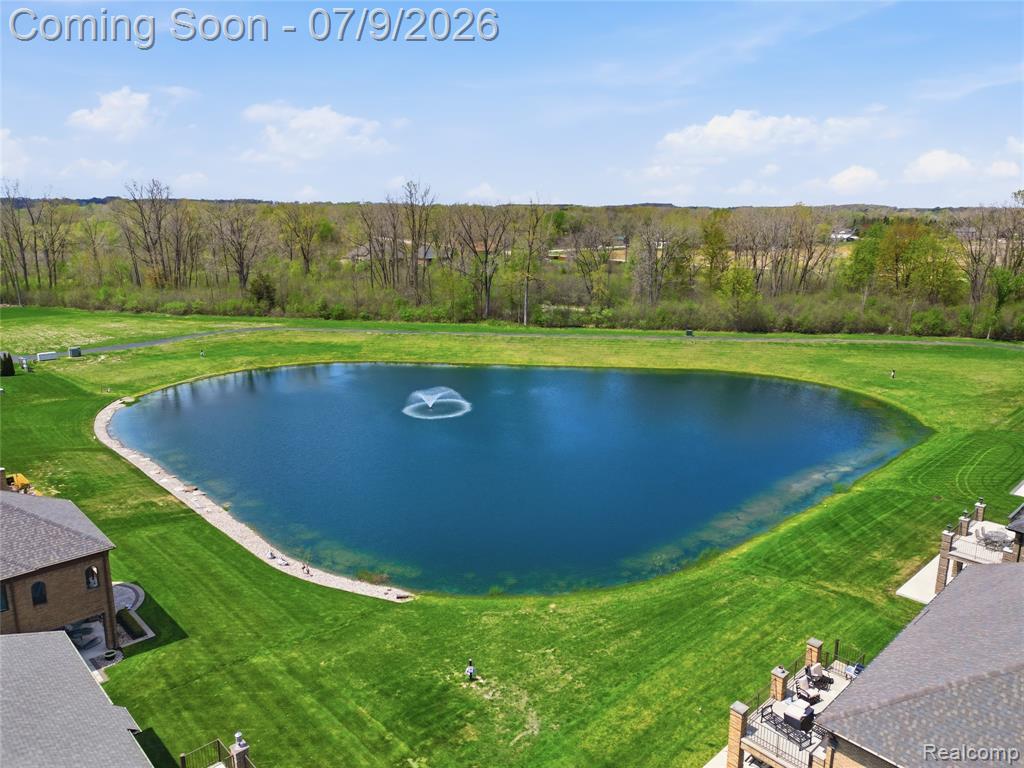 11963 Forest Brook Drive, Washington, MI — Photo 16