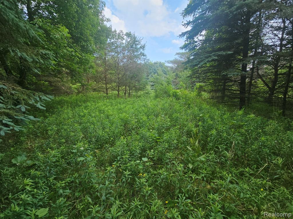 VL Millville Road, Lapeer, MI 48446 — Photo 9