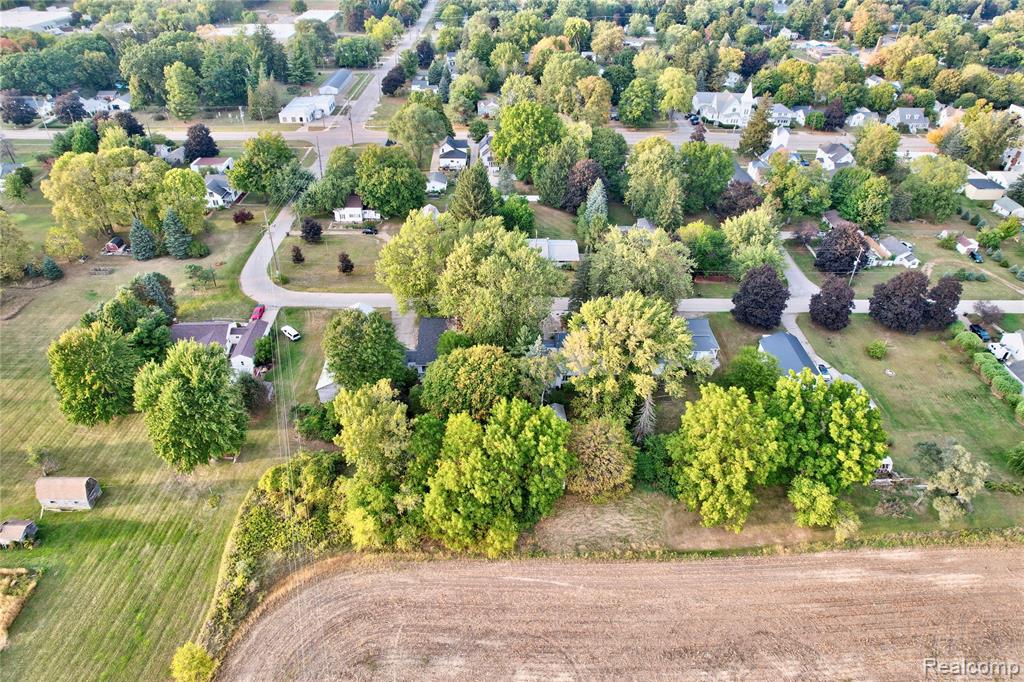 229 W Maple Street, Elsie, MI 48831 — Photo 40