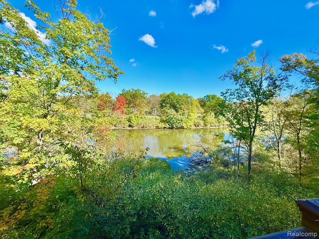 7372 River Road, Flushing, MI 48433 — Photo 27
