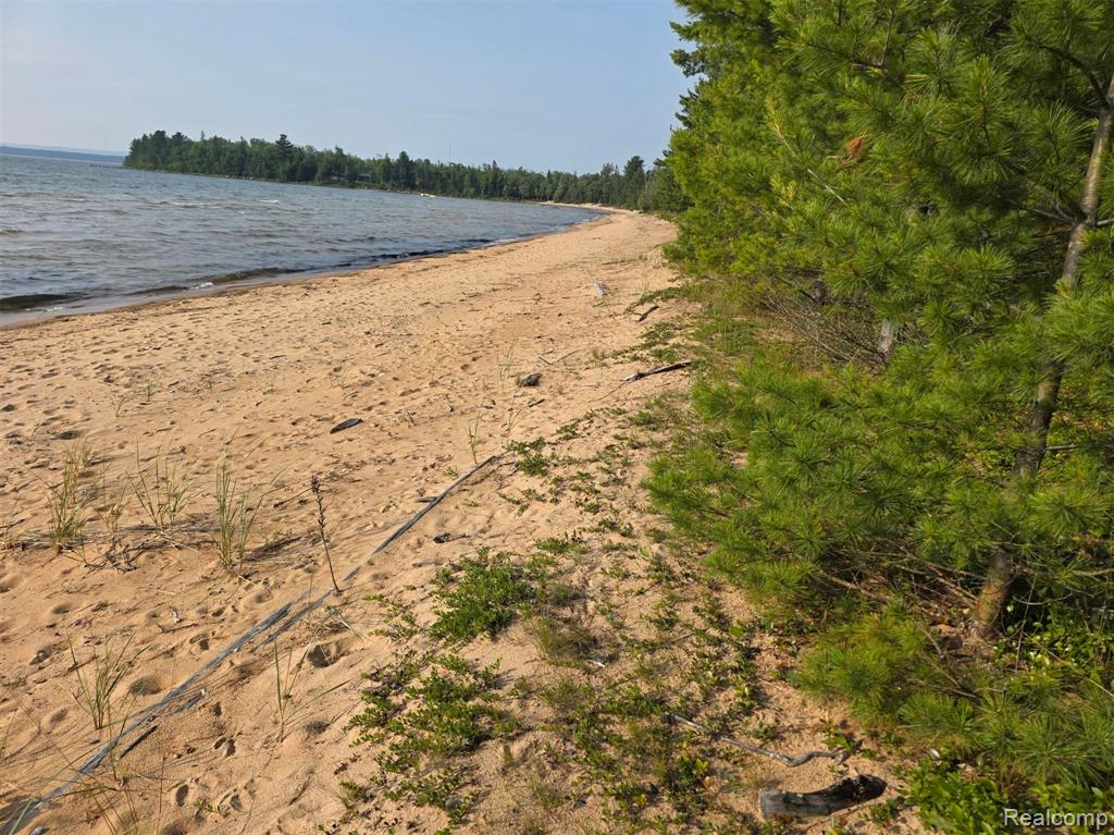 4680 S Pineshore Row, Brimley, MI 49783 — Photo 8
