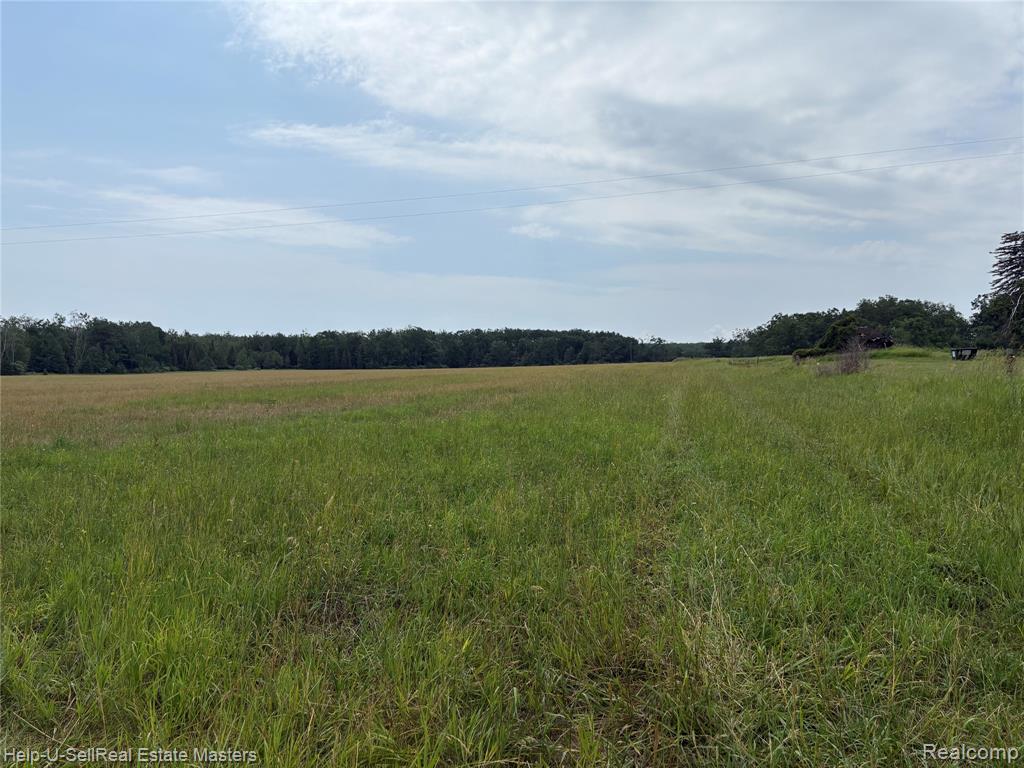 9999 W. Hubert rd Road, Hubbard Lake, MI 49747 — Photo 2