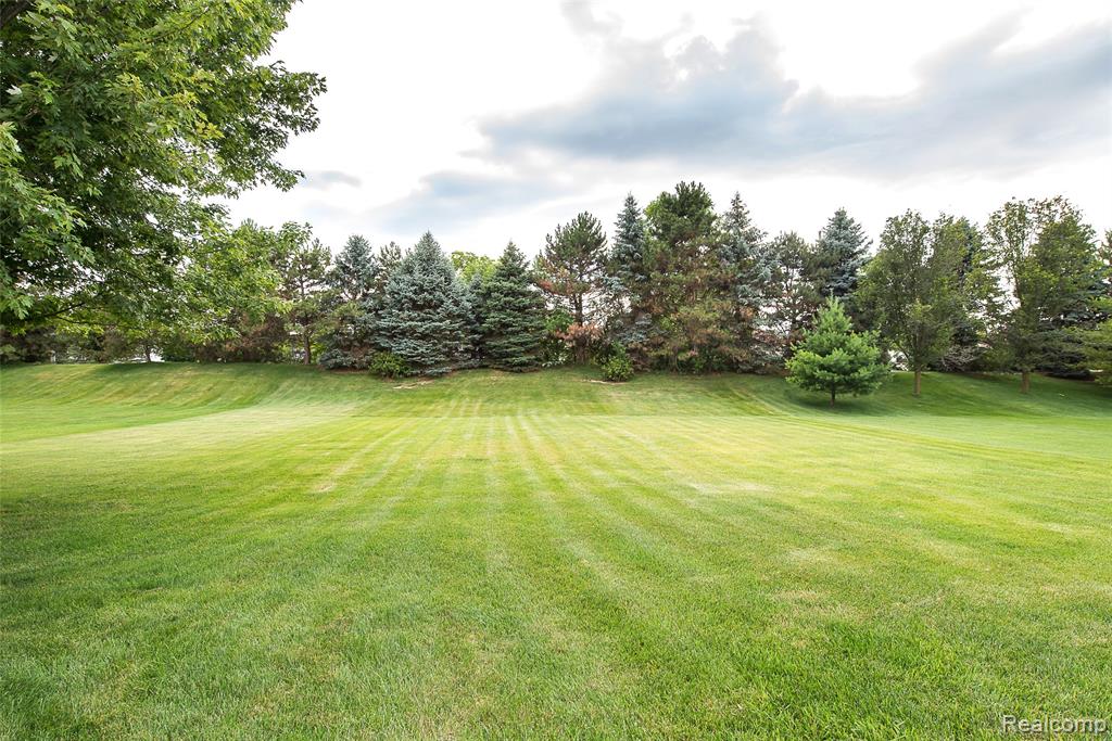 25823 Carriage Lane, South Lyon, MI 48178 — Photo 31