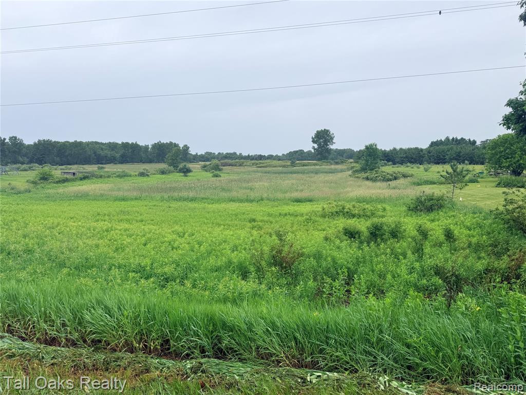 761 Millington Road, Mayville Vlg, MI 48744 — Photo 4