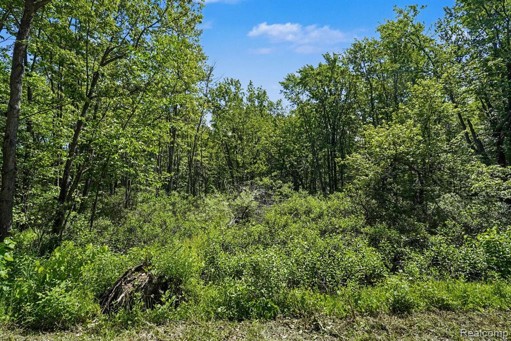 1948 Mayfield Road, Lapeer, MI 48446 — Photo 11
