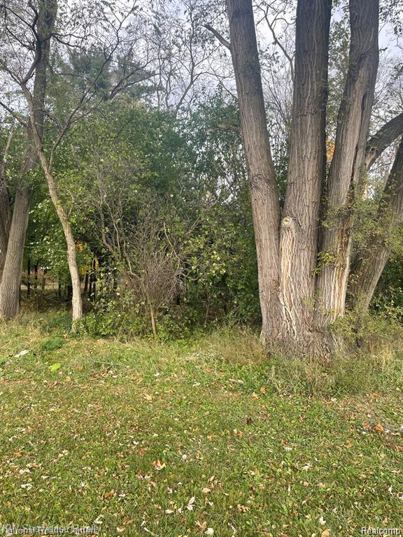 0000 Reed Lake Road, Commerce Twp, MI 48382