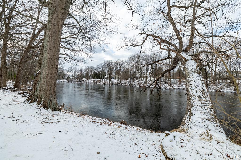 6411 Pleasant River Drive, Delhi, MI 48821 — Photo 42