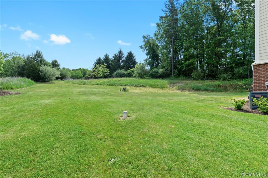 5641 Ciderberry Drive, Brighton, MI 48116 — Photo 47