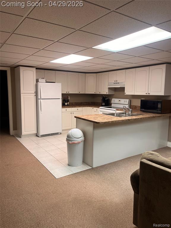 800 Saint Johns Boulevard, Lincoln Park, MI 48146 — Photo 16
