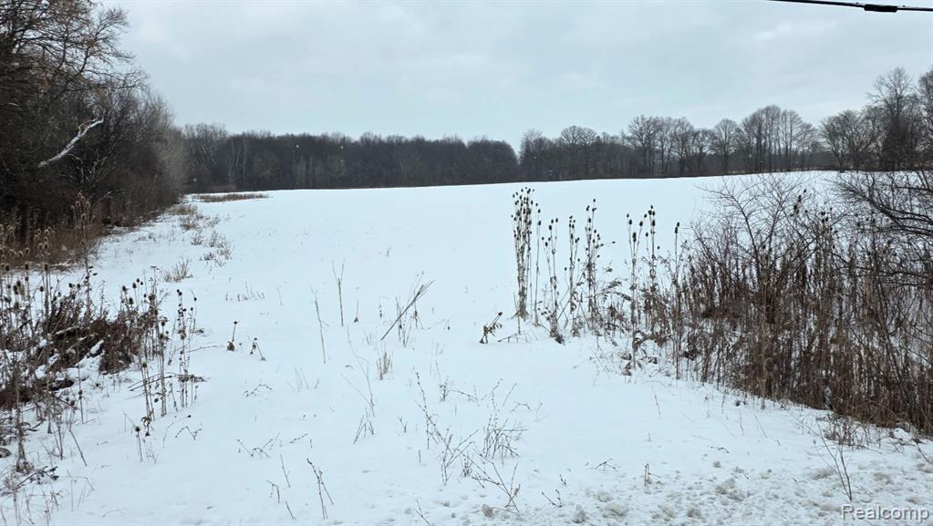 VL Fred Moore, St. Clair, MI 48079 — Photo 3