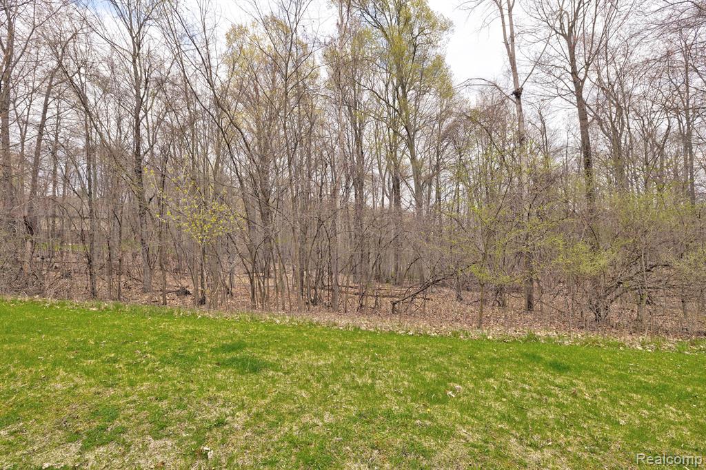 503 BLUEBIRD Trail, Ortonville, MI 48462 — Photo 34