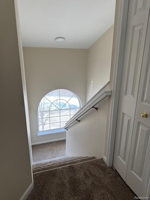 4790 MADDIE Lane, Dearborn, MI 48126 — Photo 12