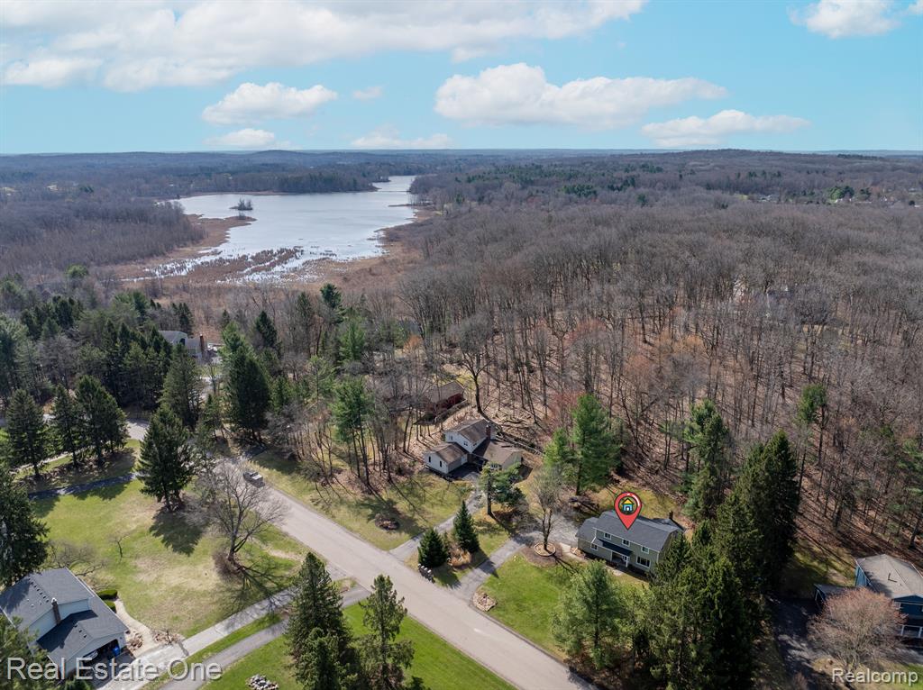 5219 PINE HILL Circle, Howell, MI 48843 — Photo 22