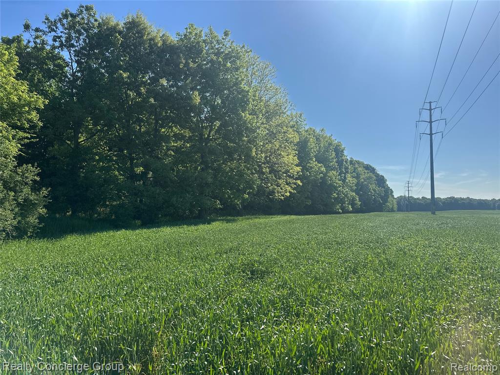 2681 Fisk Road, Howell, MI 48843 — Photo 6