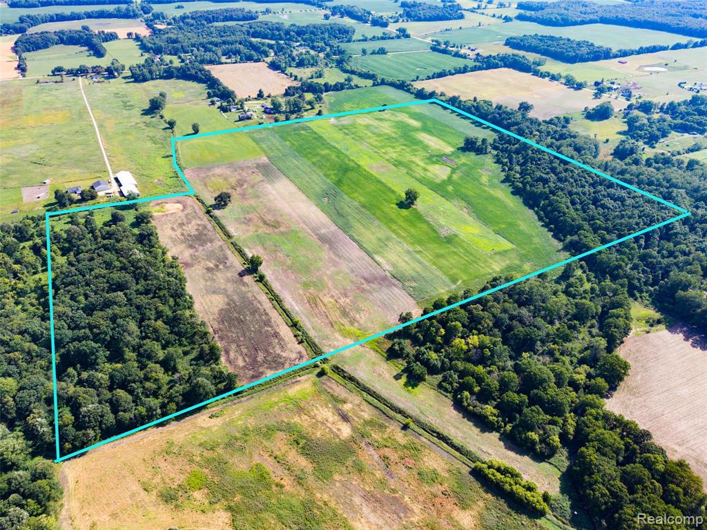 V/L KLEINSCHMIDT Road, Webberville, MI 48892 — Photo 4