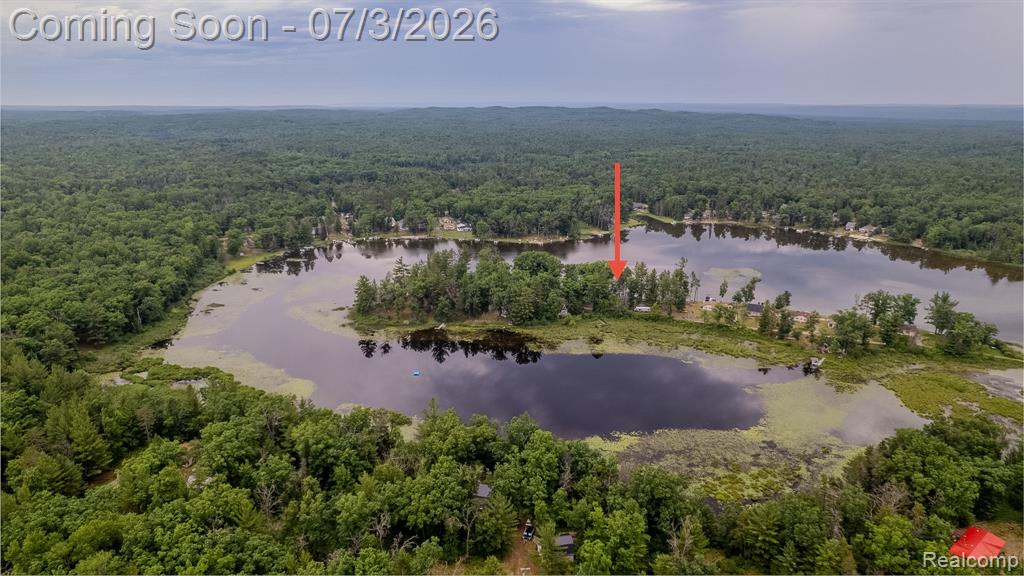 8272 Paradise Drive, South Branch, MI 48761 — Photo 48