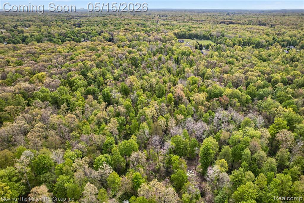 22530 Bohn Road, Belleville, MI 48111 — Photo 5