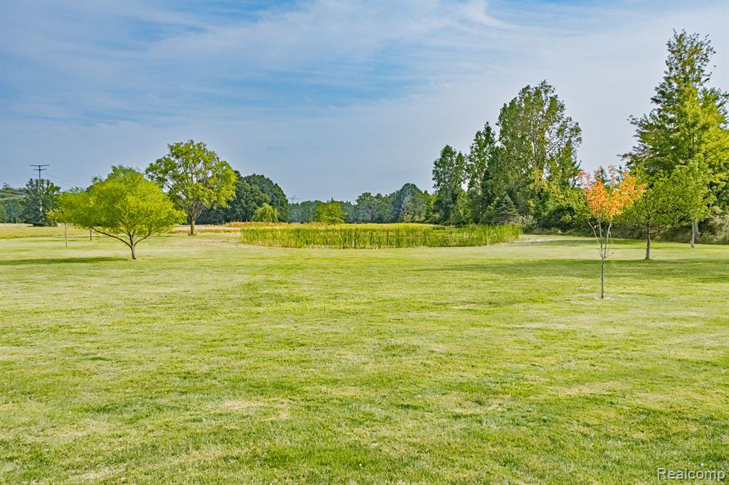 9429 BRANDON Road, Kenockee, MI 48006 — Photo 41