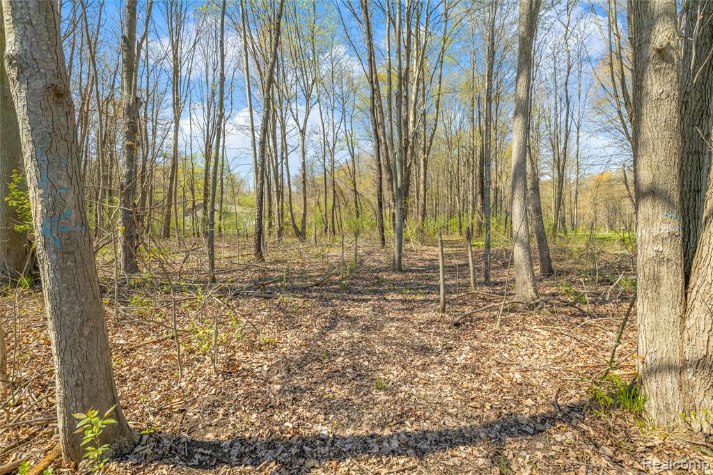 16000 S Huron River Drive, Romulus, MI 48174 — front exterior