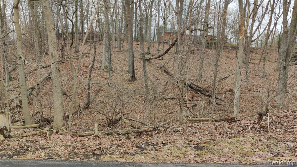 Lot 149 Breer Court, Bloomfield Hills, MI 48302 — Photo 2