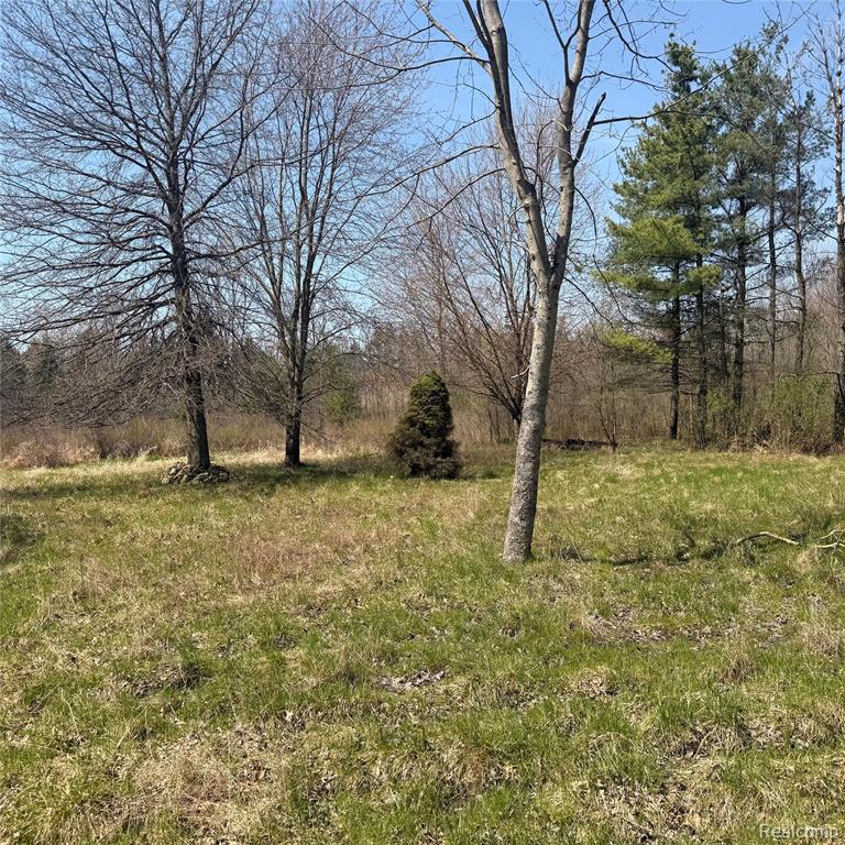 11779 Dunn Road, Riley, MI — Photo 36