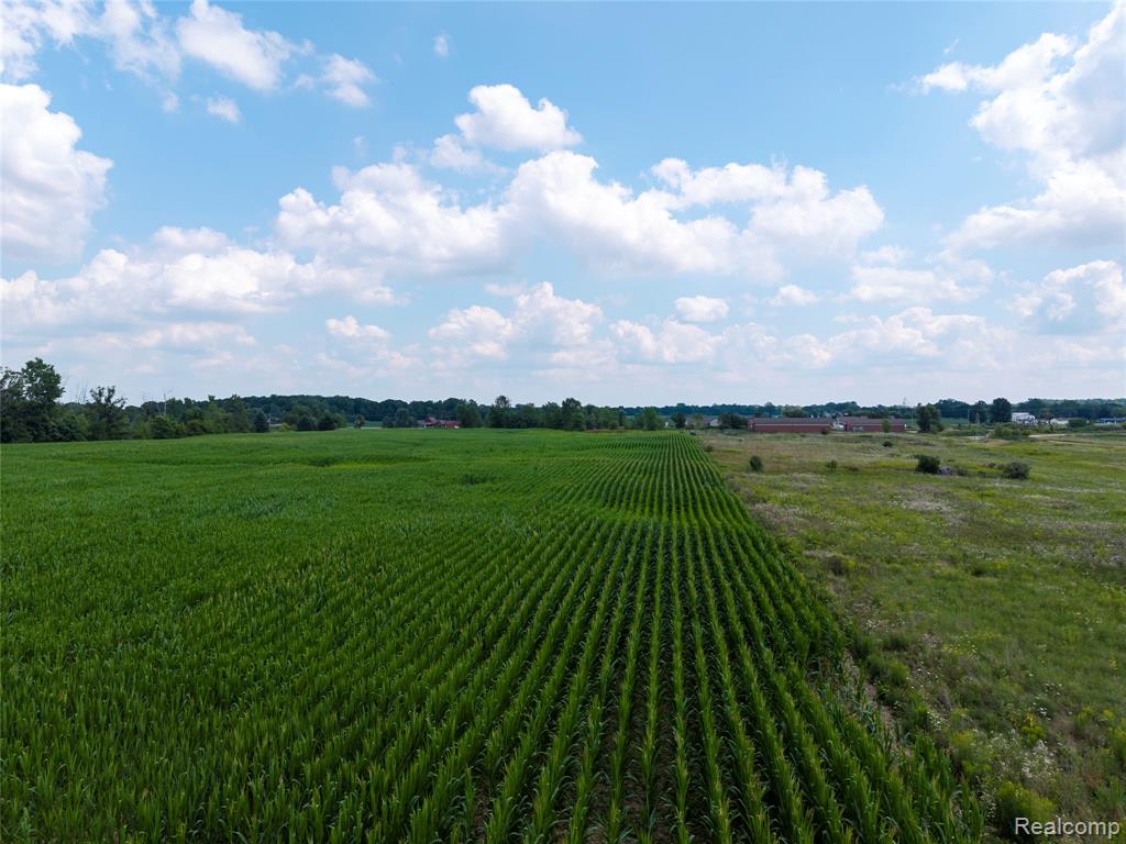 VL Sharp Road, Swartz Creek, MI 48473 — Photo 29