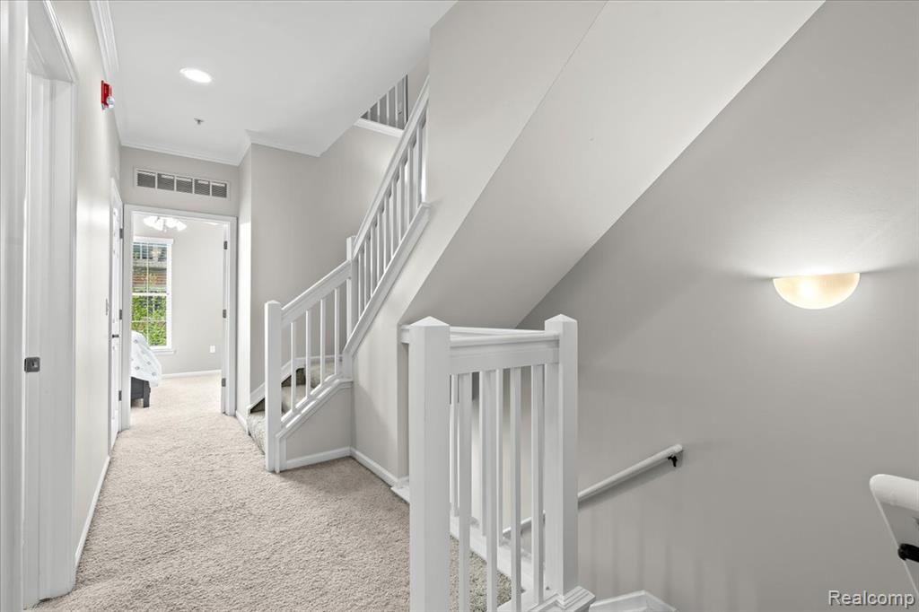 531 Graten Street, Birmingham, MI 48009 — Photo 22