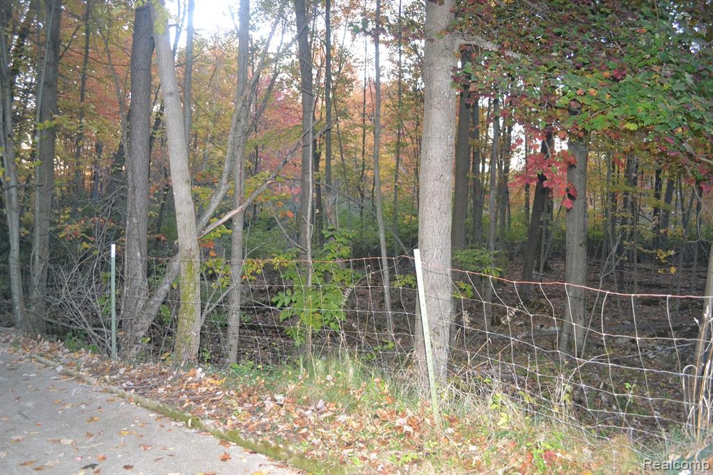6375 JOANNE Street, Lake, MI 48632 — Photo 51