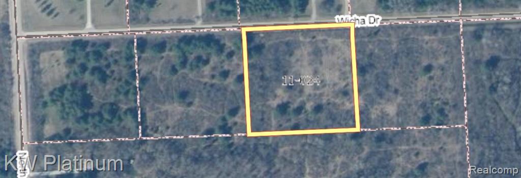 Parcel C Wicha Drive, Burtchville, MI 48059 — Photo 5