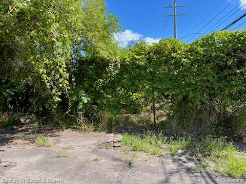 4818 W Jefferson Avenue, Detroit, MI 48209 — Photo 2