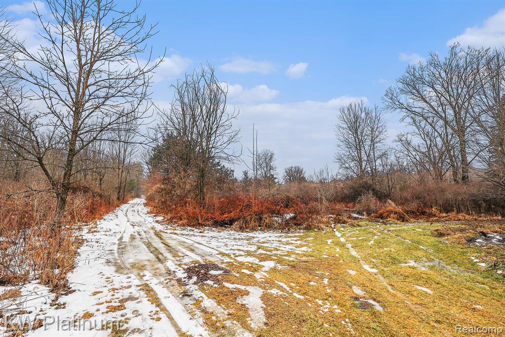 4202 Palms Road, Casco, MI 48064 — Photo 18