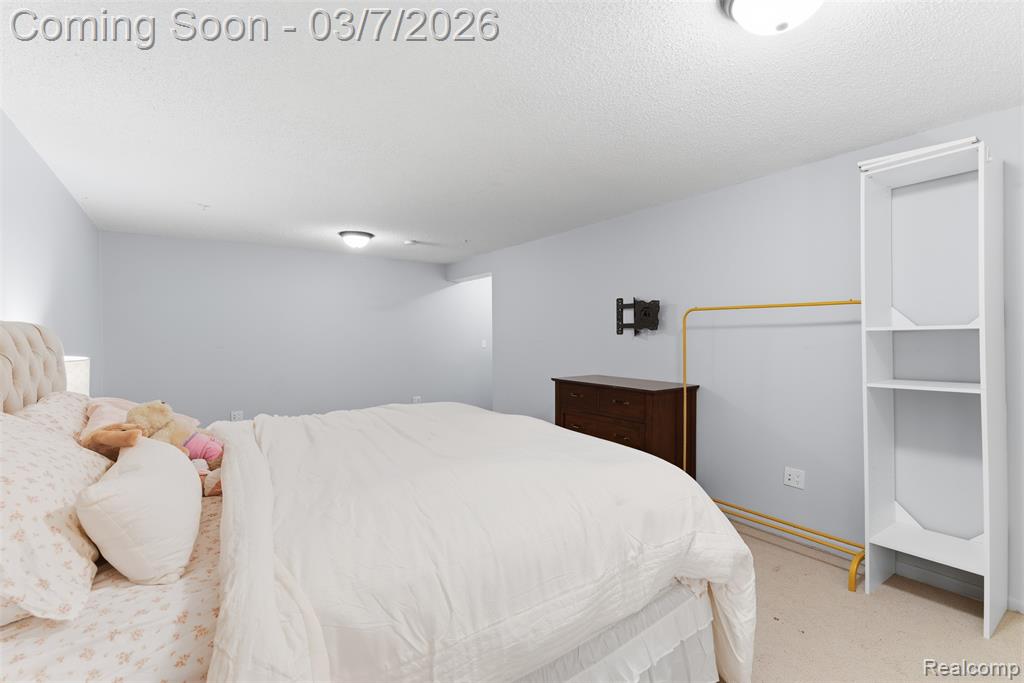 49954 Plymouth Way, Plymouth, MI 48170 — Photo 26