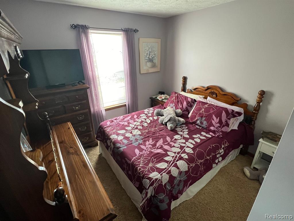 744 VILLAGE Drive, Fowlerville, MI 48836 — Photo 12