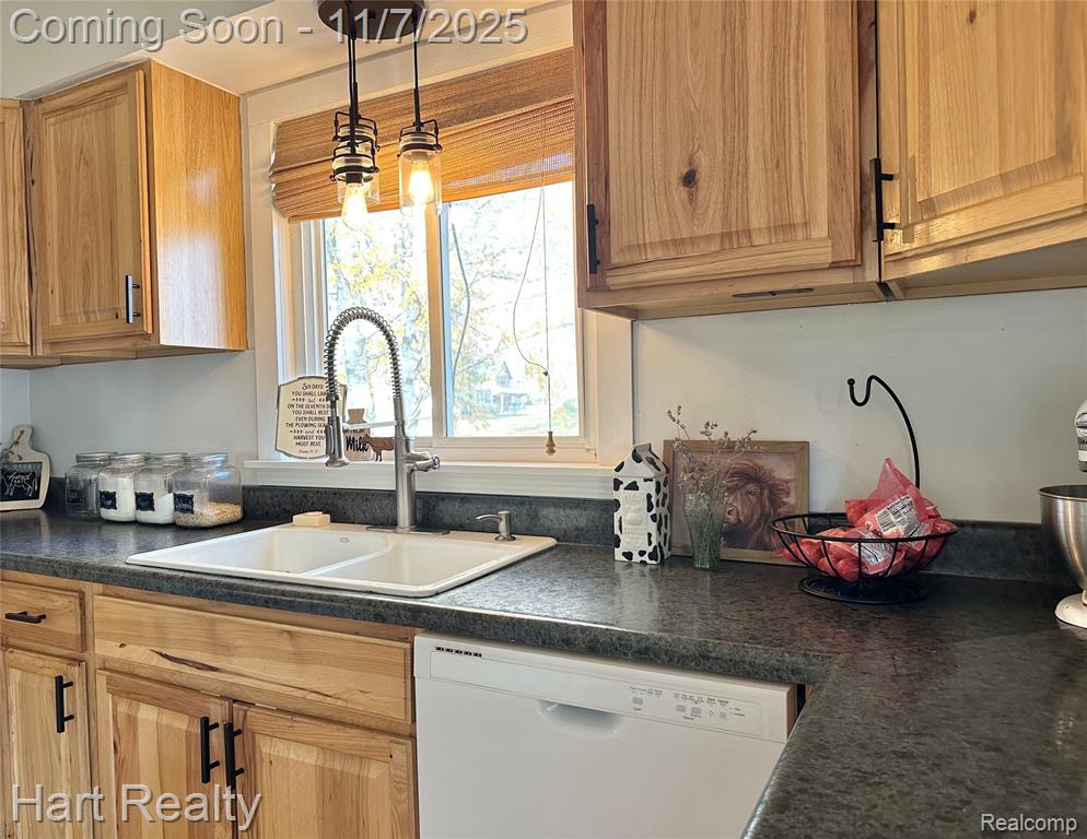 6865 Saint Marys Street, Brown, MI 48416 — Photo 9