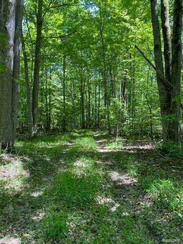 V/L UNDERWOOD Road, Caro, MI 48723 — Photo 6