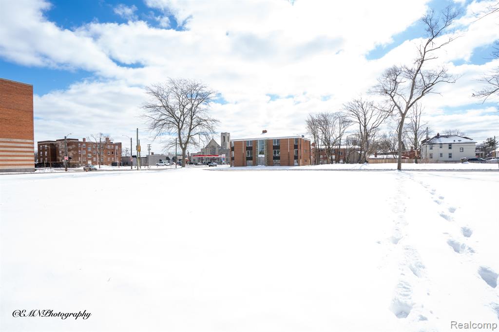 13515 Greiner Street, Detroit, MI 48205 — Photo 4