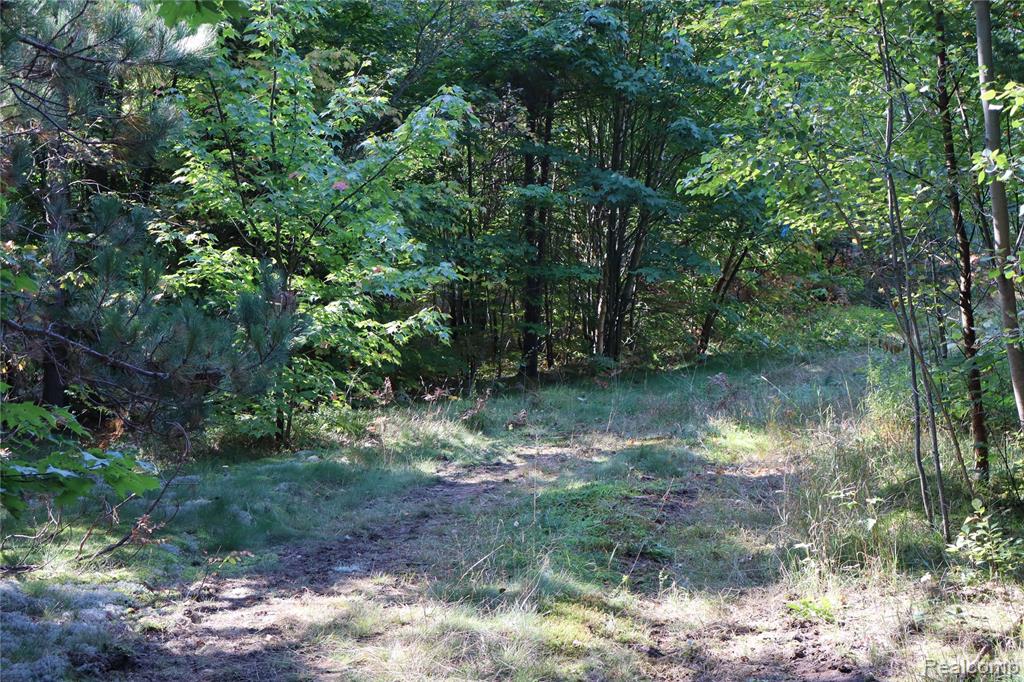 Lot D W Pendills Lake Road, Brimley, MI 49715 — Photo 49