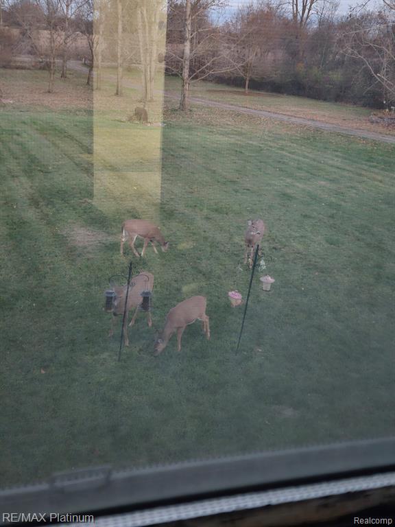 11077 Owosso Road, Fowlerville, MI 48836 — Photo 32