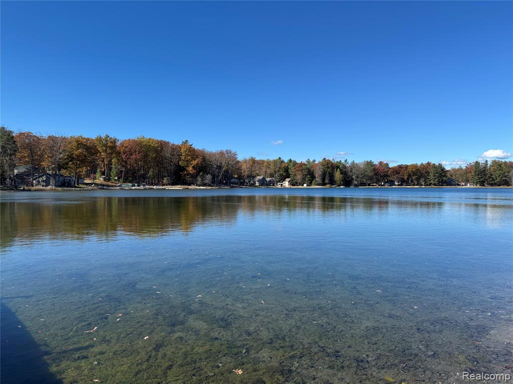 7099 Jose Lake Road, South Branch, MI 48761 — Photo 7