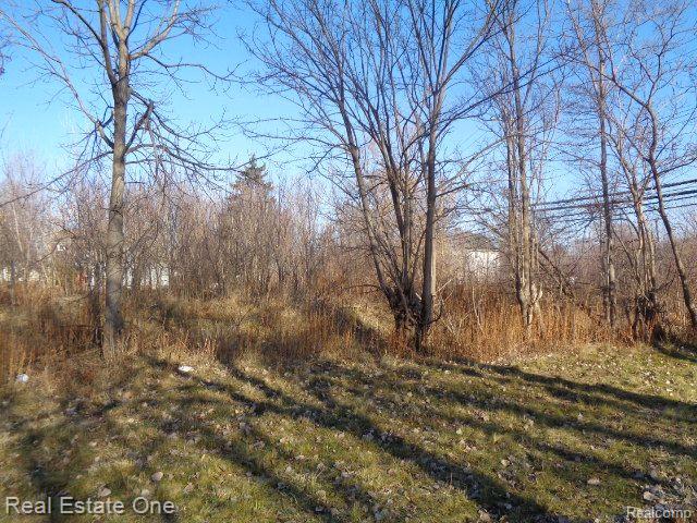 18088 PELKEY Street, Detroit, MI 48205 — Photo 5