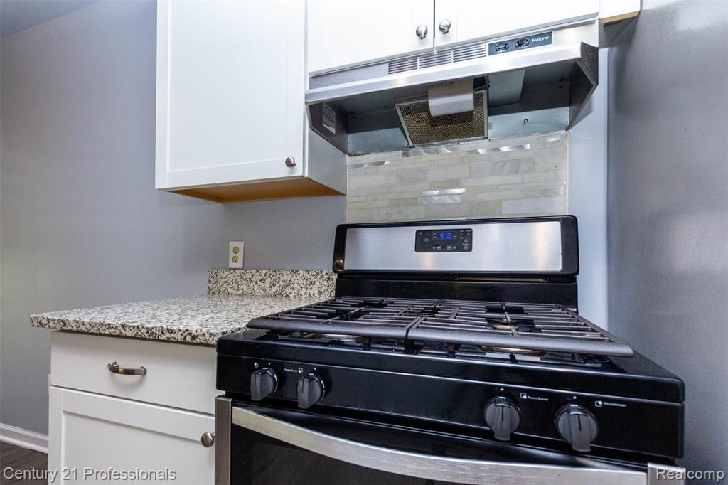 2650 Fenwick Court, Ann Arbor, MI 48104 — Photo 12